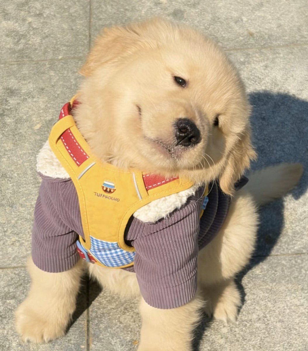 p.p 𓐄✿ tweet media