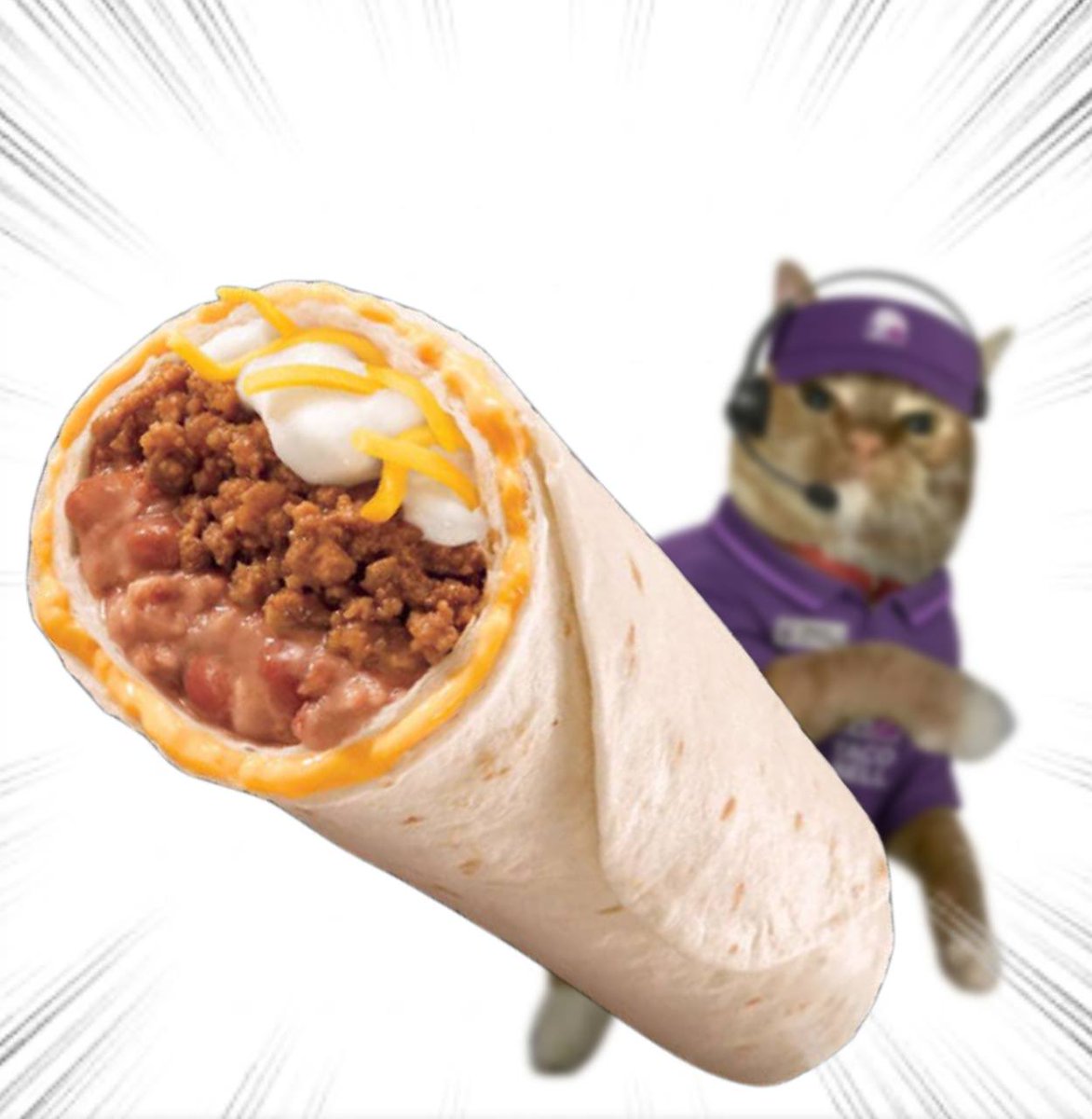 Throwing Things Daily tweet media