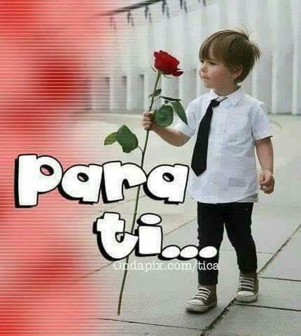 vargas_yim's tweet photo. @PatriciaCacer16 feliz tarde  🌞☕️🌻🌹 hola https://t.co/krKDBZ4HP2
