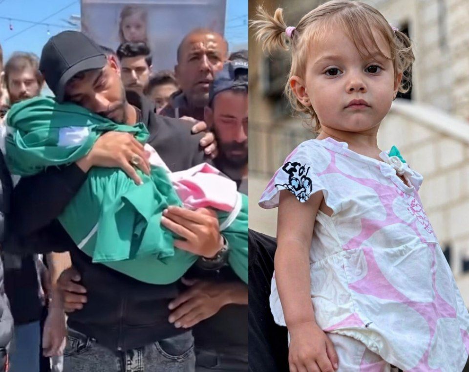 New | Azof tweet media