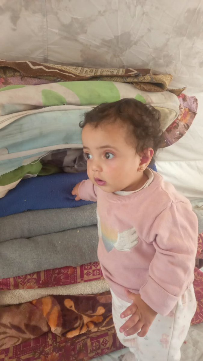 Diana._.Hamad tweet media