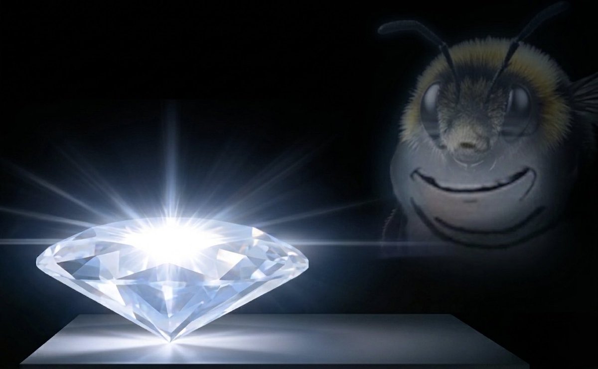 Violin Bee 🐝 tweet media