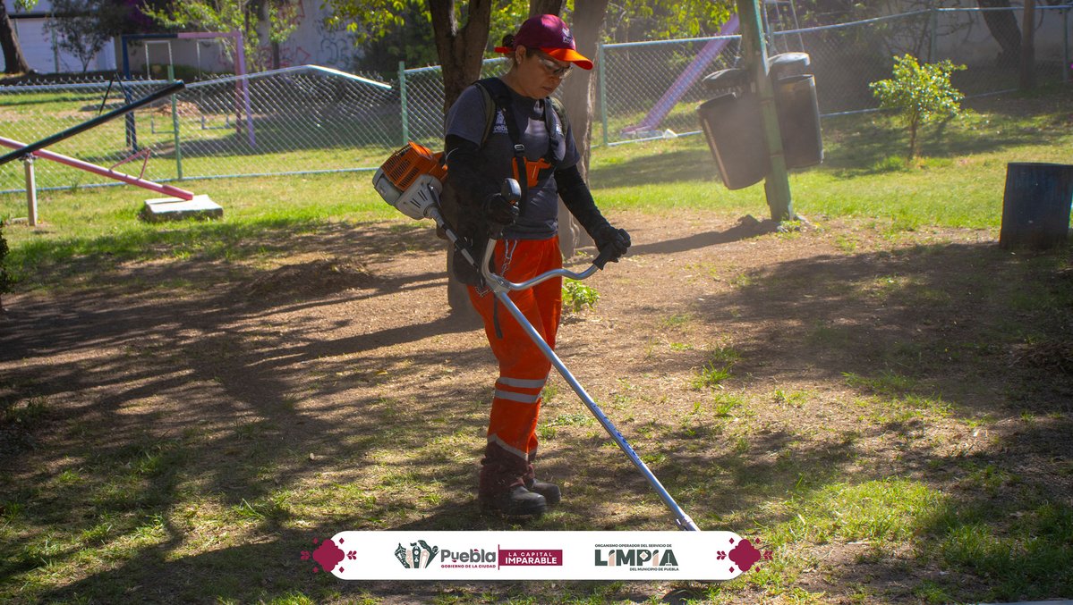Organismo Operador del Servicio de Limpia tweet media