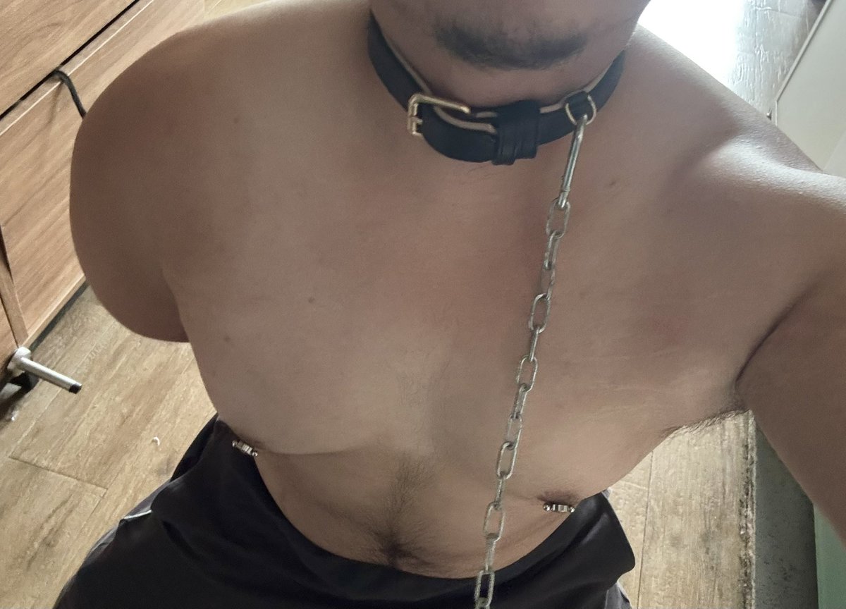 牛犇犇 tweet media