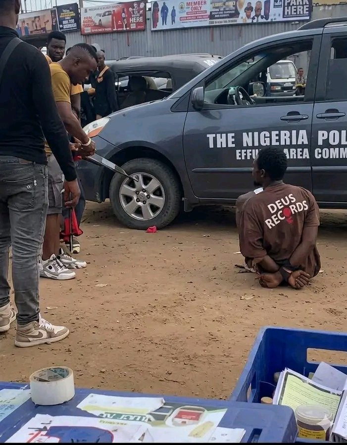 𝐍𝐃𝐔 𝐏𝐔𝐋𝐒𝐄 𝐓𝐕 tweet media