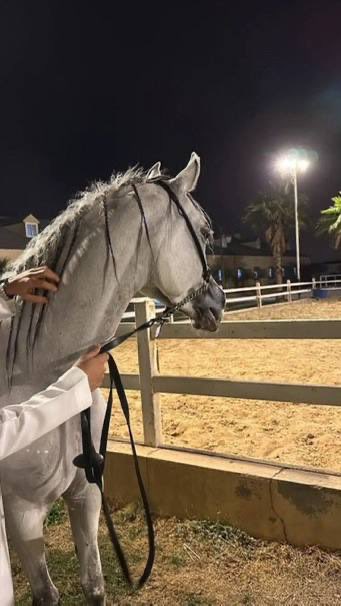 Turki⚖️🇸🇦 tweet media