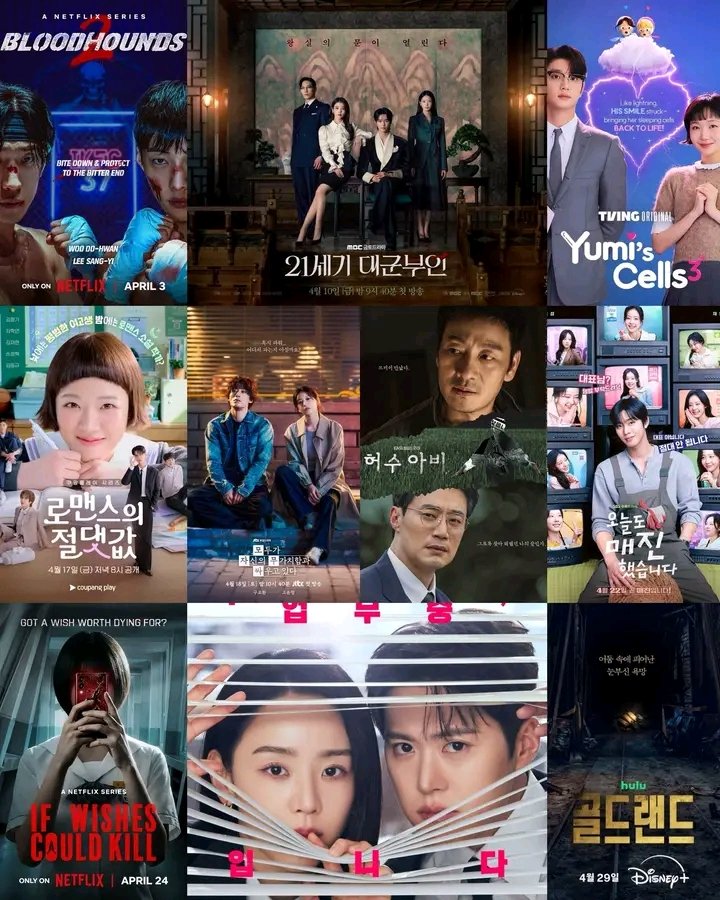 bilqees muhammad tweet media