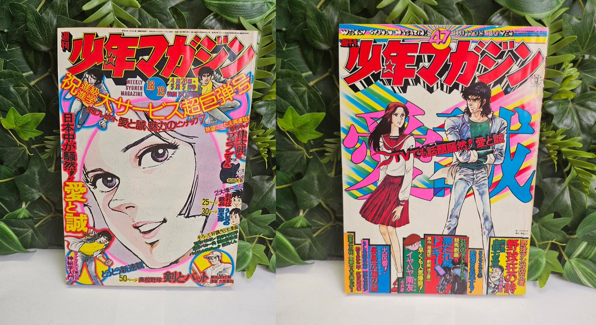 Konotoree tweet media