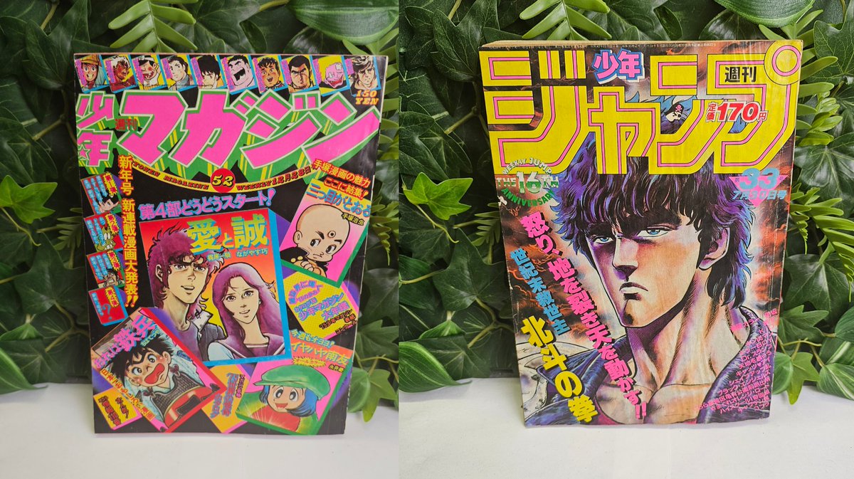 Konotoree tweet media