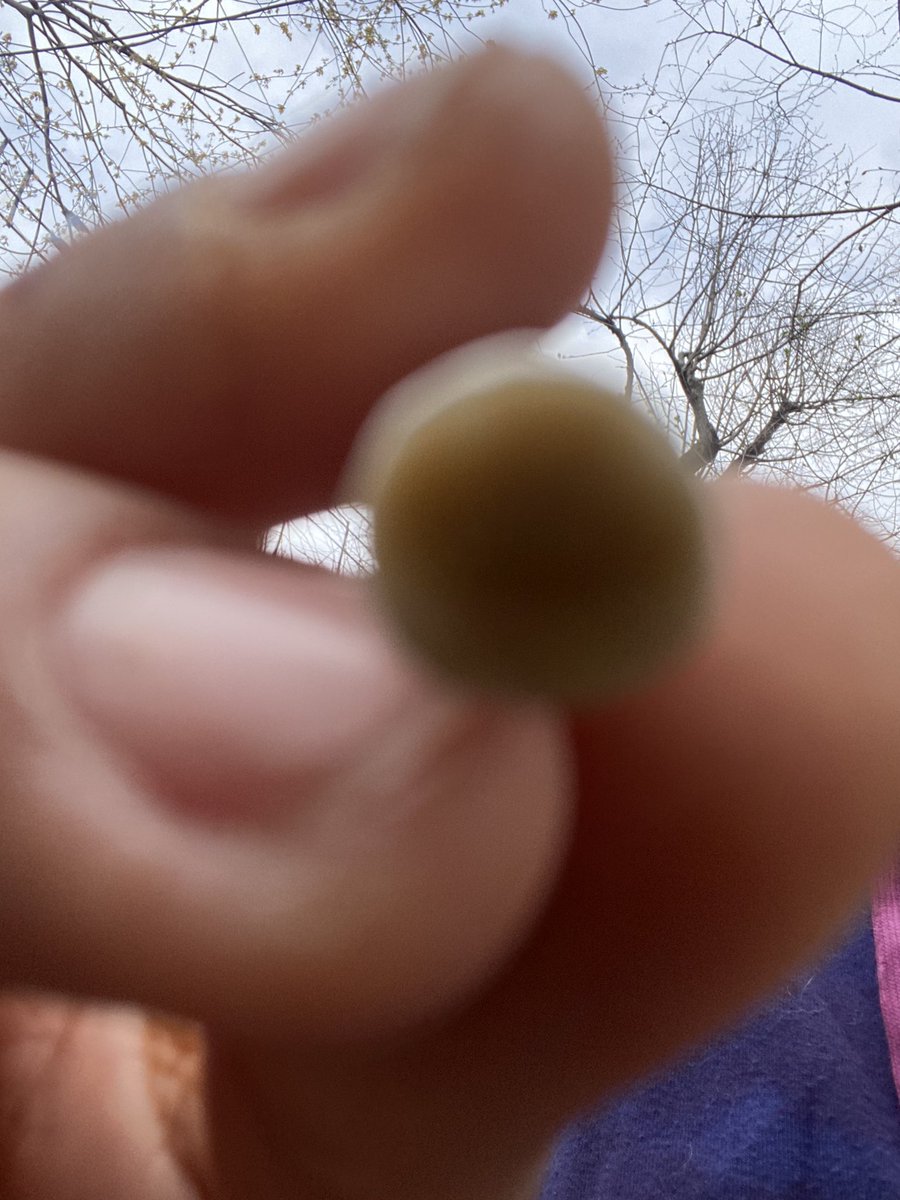 Navy 🫐🍓 tweet media