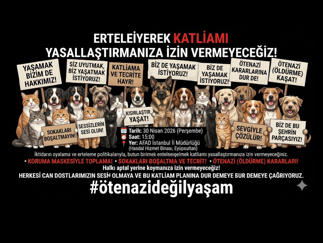 Süpürgeli ©️🅰️DI tweet media