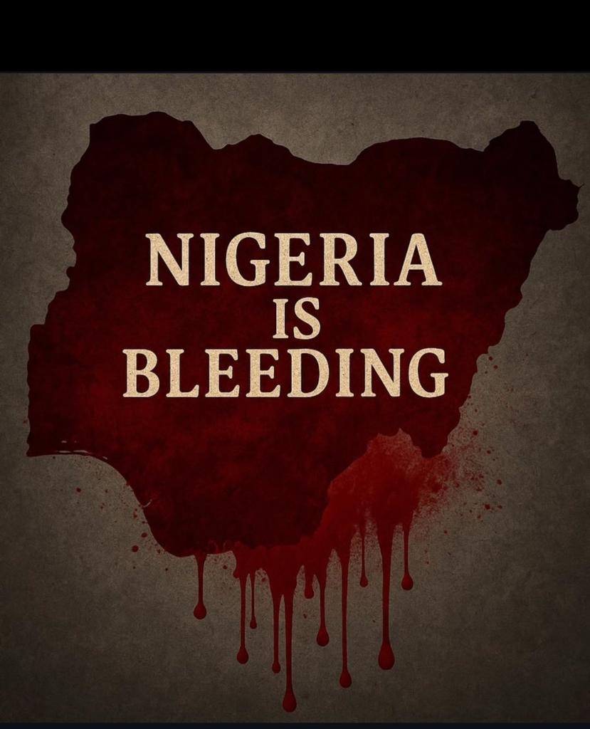 Cason🐺 tweet media