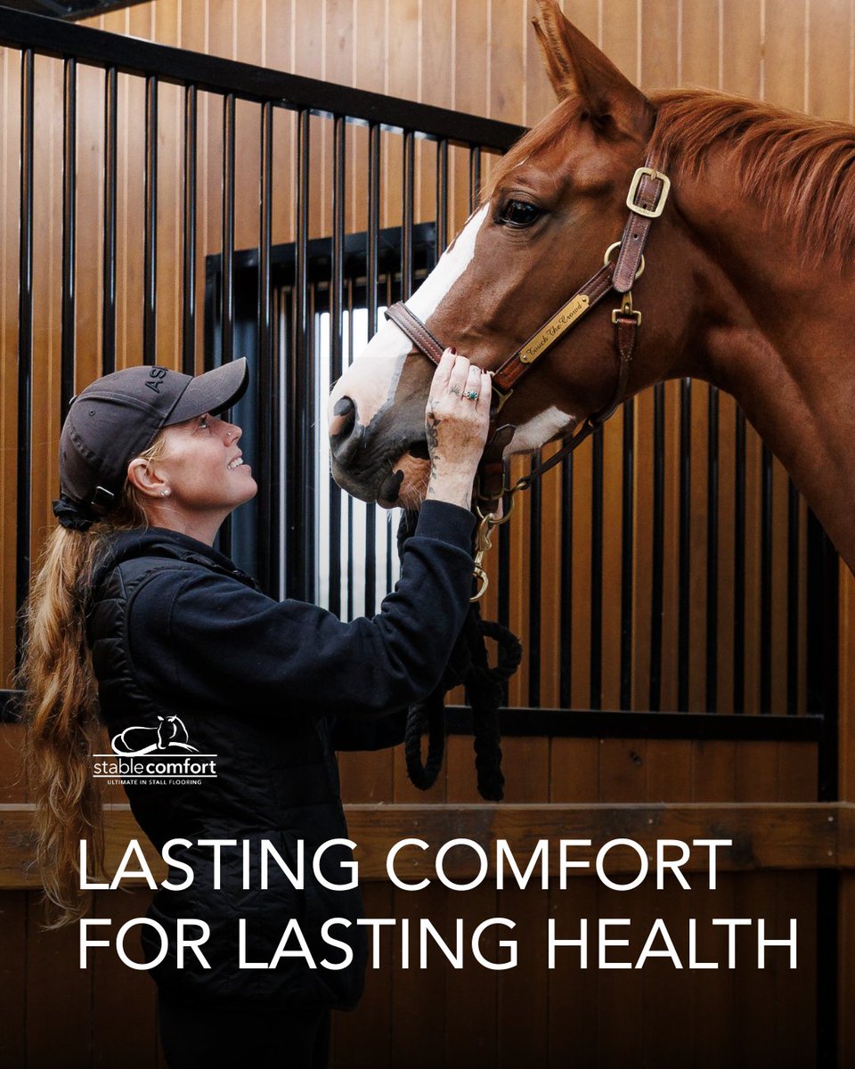 StableComfort's tweet photo. Our newly refreshed website is officially here, and we’re so excited for you to experience the new look and feel. While our look may be updated, we’re still the same trusted, equine comfort company you know and love. https://t.co/xgRWC0ETWt
