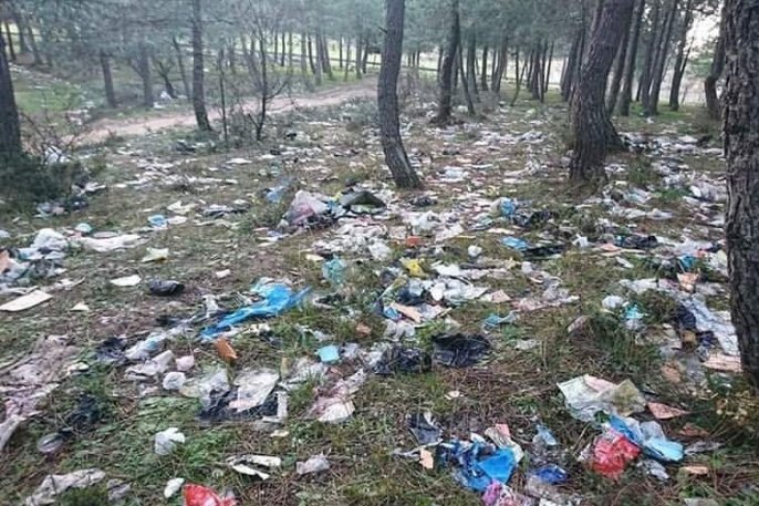 🆂🅴🅳🅰️ tweet media