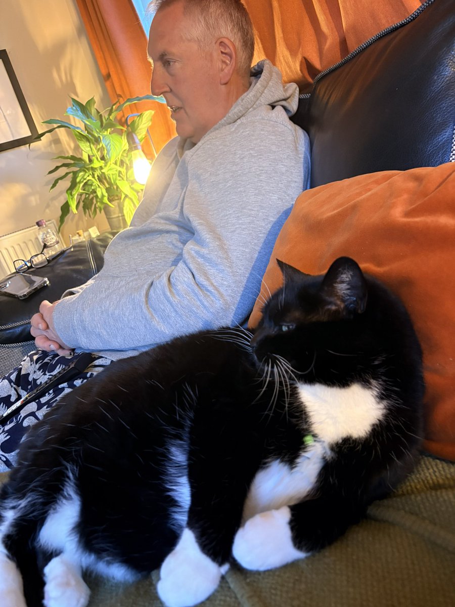 Lizzie  jack tweet media