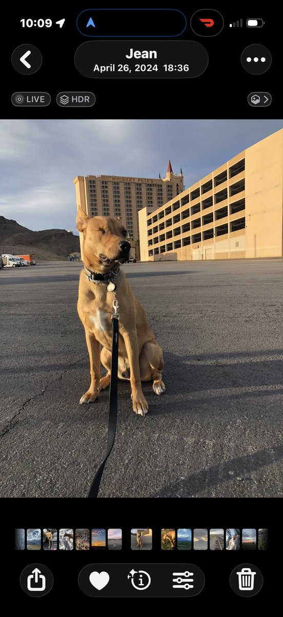 Hannah West tweet media