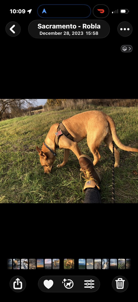 Hannah West tweet media