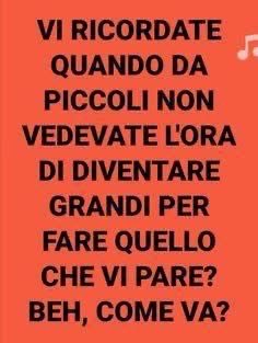 anna maria moscarell tweet media