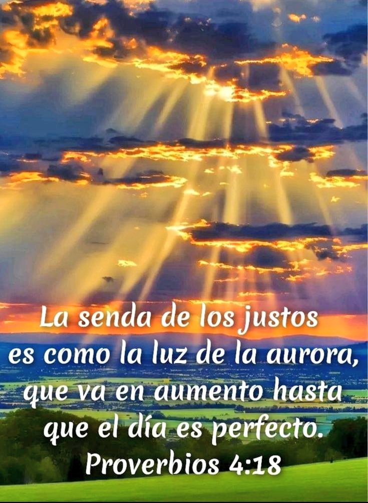 Proverbios:4:19.📖🔥✨
Él camino de los Impíos, es como la Oscuridad, no saben en que Tropiezan. 🥺🍁
