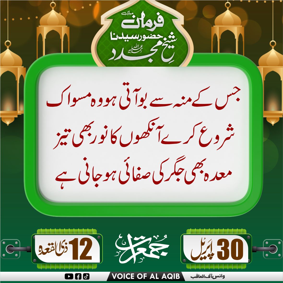 Voice Of Al-AQib tweet media