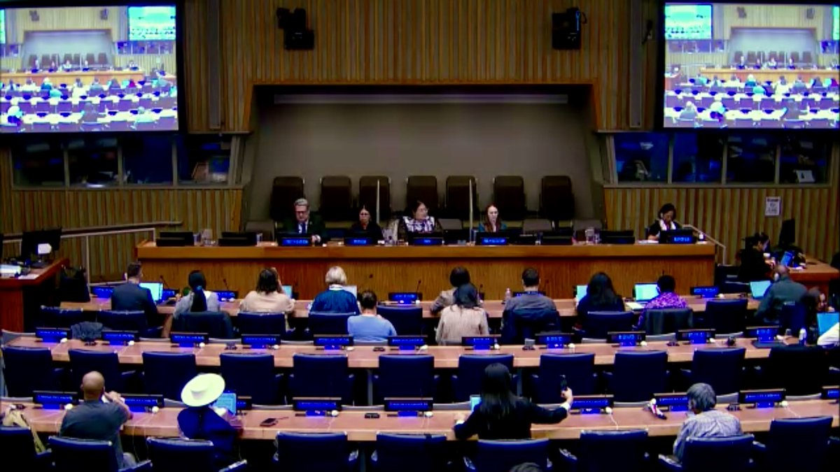 Denmark in UN NY🇩🇰 tweet media
