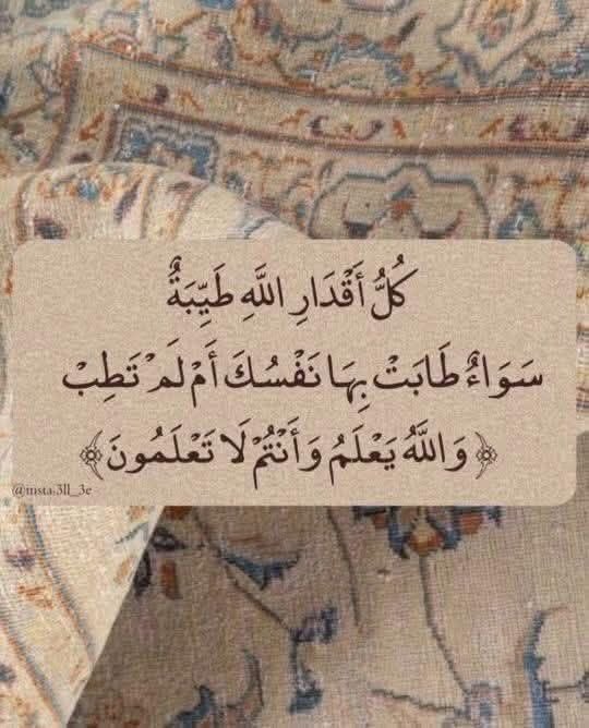 حكمة tweet media