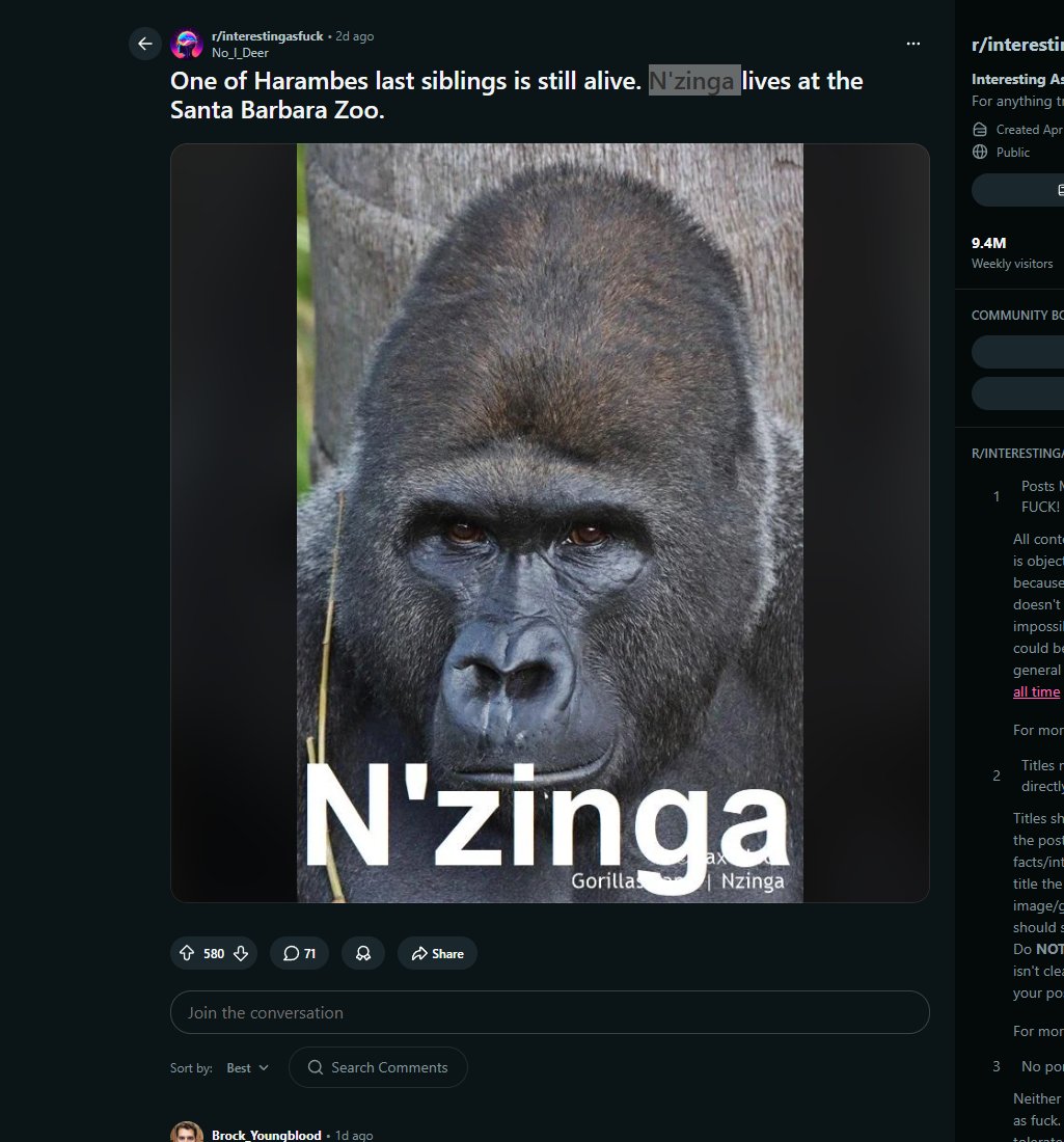 The Deployer tweet media