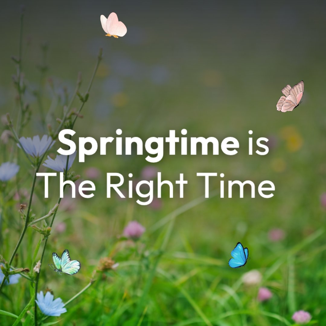 yourREpros's tweet image. Buying or selling this spring? Now’s the time. We're here to help every step of the way.

#RealEstate #HomeBuying #HomeSelling #SpringMarket

Blog: 
sevilleproperties.net/spring-real-es…
