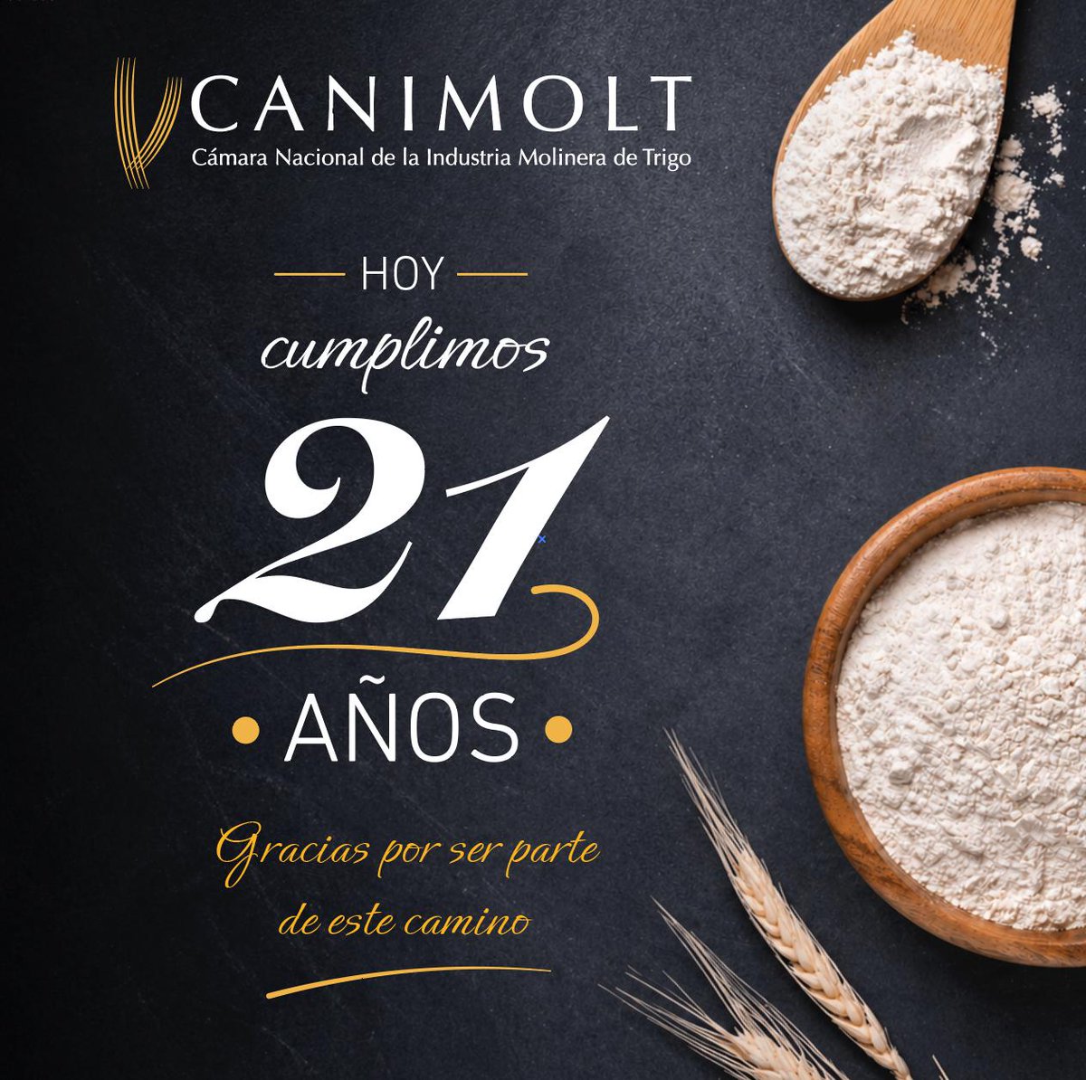 Cámara Nacional de la Industria Molinera de Trigo tweet media