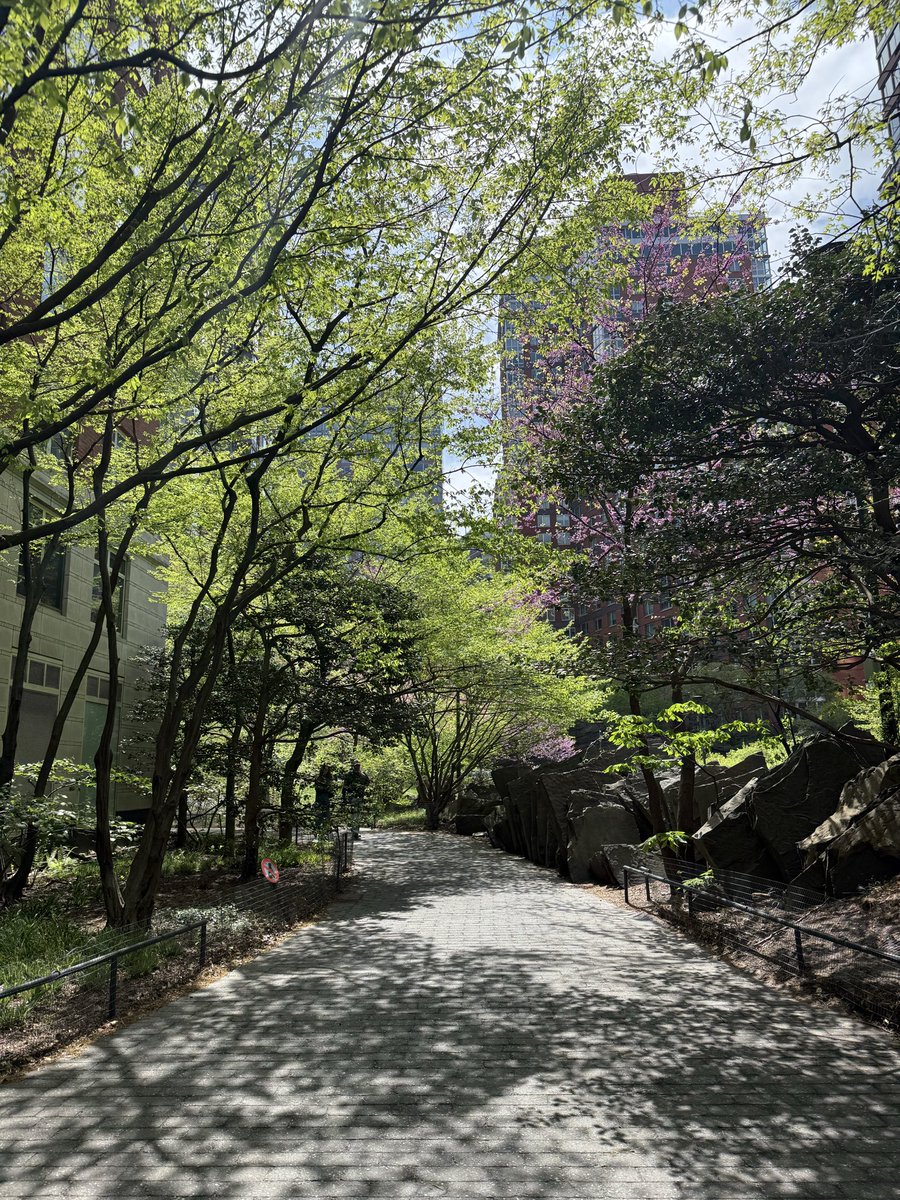 HowardHalim's tweet photo. started walking to work now that the weather is warmer, and it’s nice seeing all the trees and flowers blooming in the spring

(maybe I should post one of these every season, winter version is below) https://t.co/o7KA6rHtDx