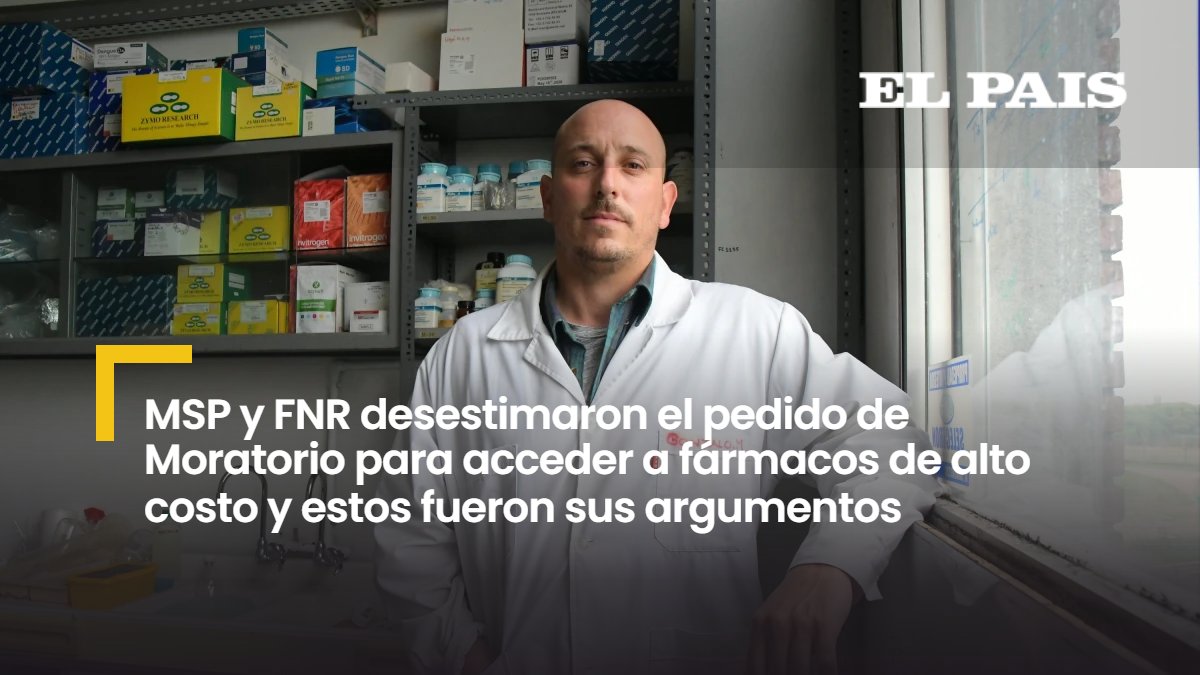 EL PAÍS tweet media