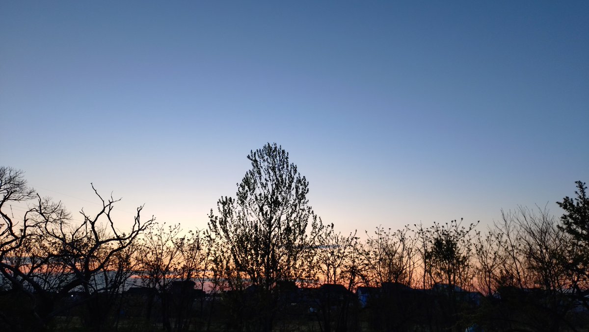 ふんた🎿 tweet media