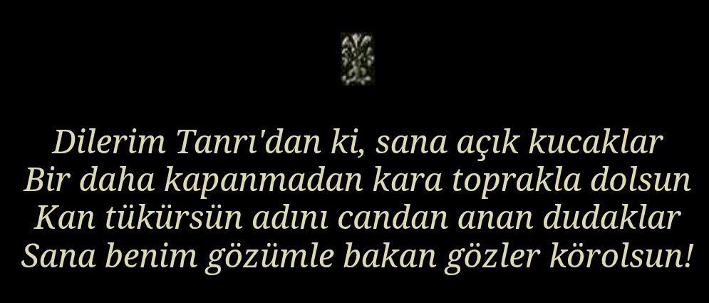 yiğit L. ☯︎ tweet media