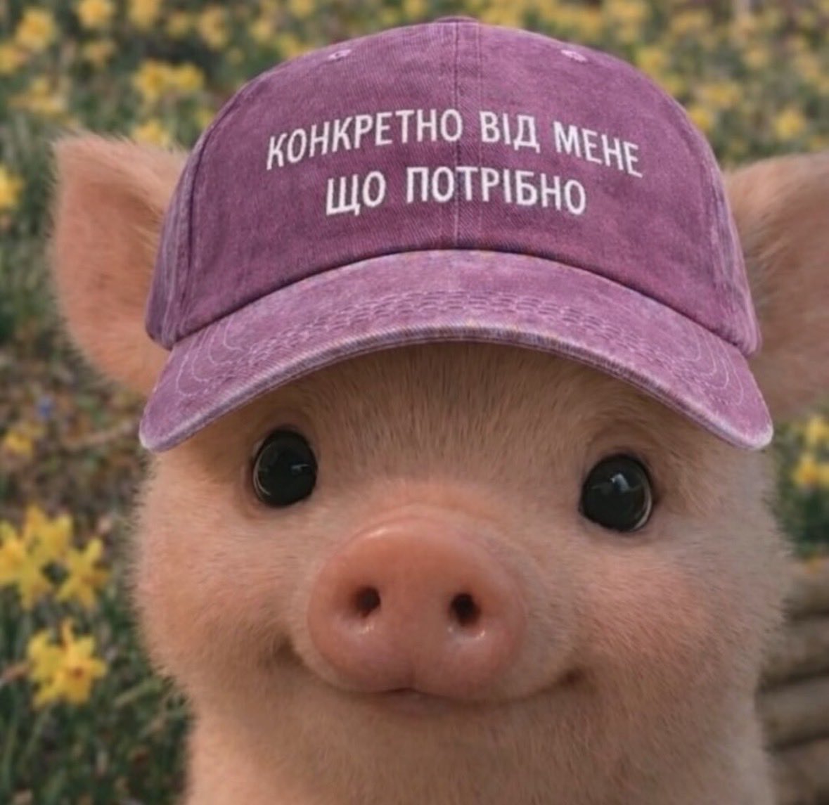 Катерина 🇺🇦 tweet media