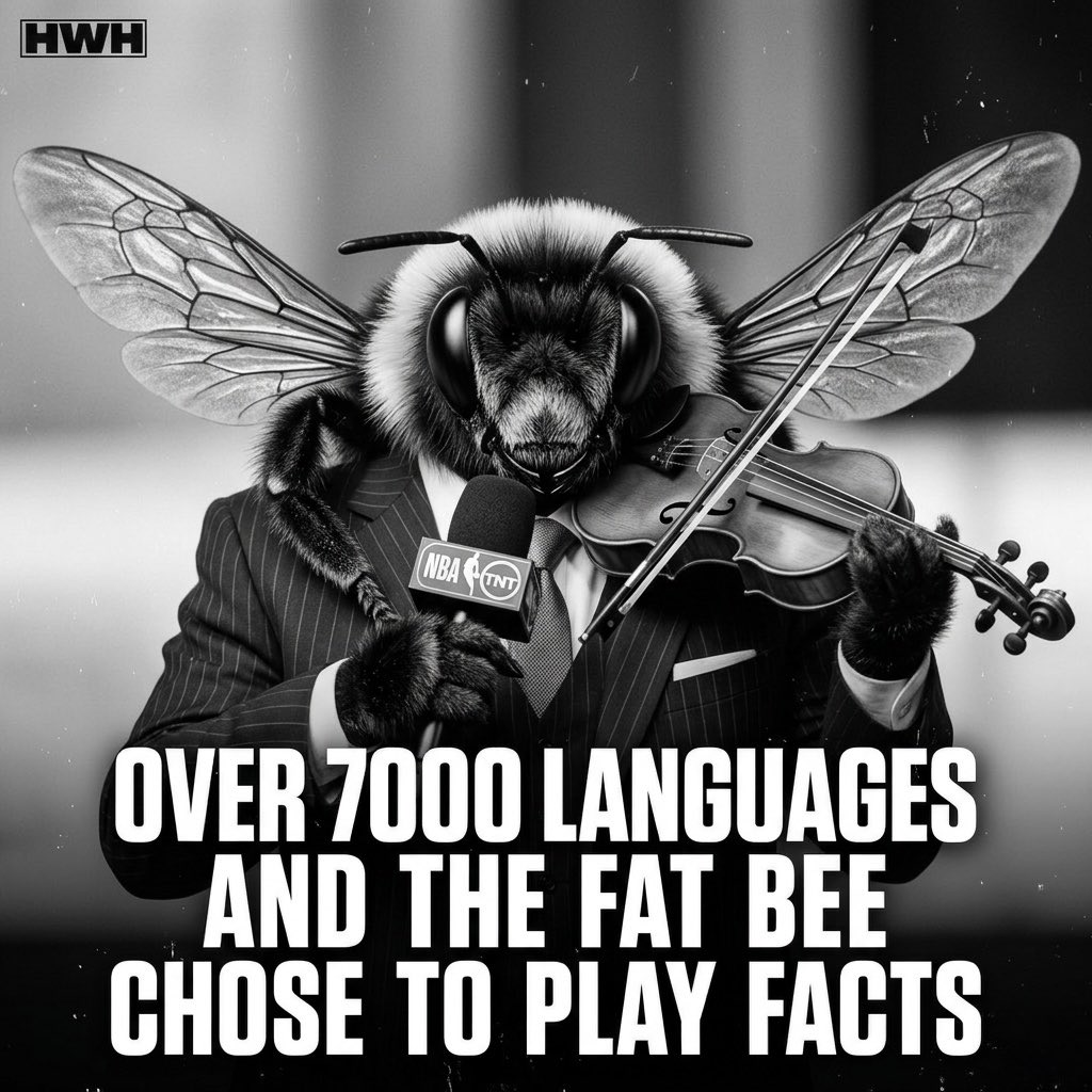 Violin Bee 🐝 tweet media