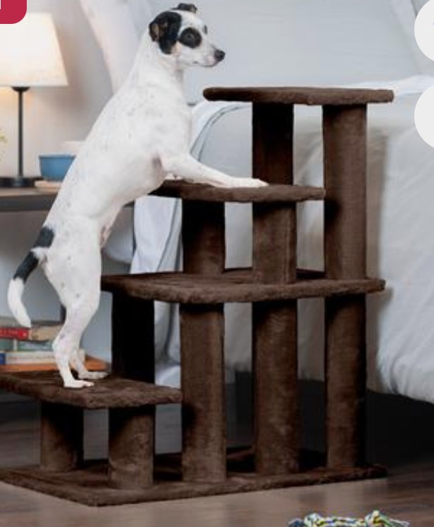 Weemus0417's tweet image. I ordered these #steps from @Chewy today for my cat Sweetie...poor thing is getting older and having a super tough time trying to jump up into the window to look outside.😔 This will help her a lot.🤗🩵👍 #SeniorCats😽