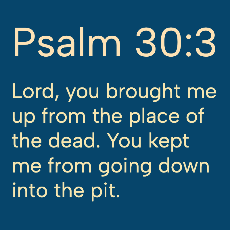 Daily Bible tweet media