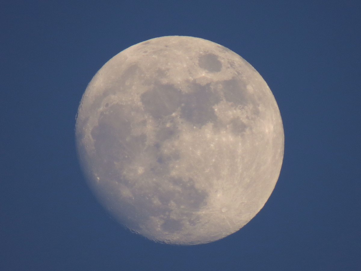 angegarrod's tweet image. Pale rising, and #sunset 96.4% Waxing Gibbous moon 29/4/26
#moonwatch #wonders #astronomy #moonhour @MoonHourSocial
