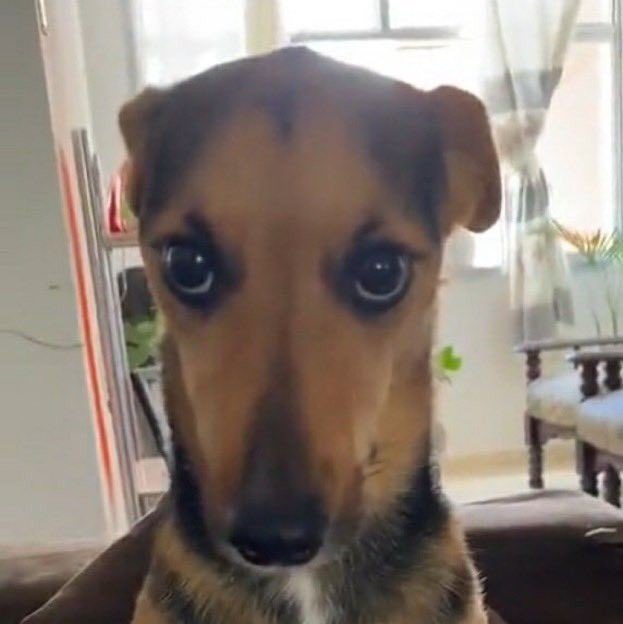 Lucy 击 tweet media