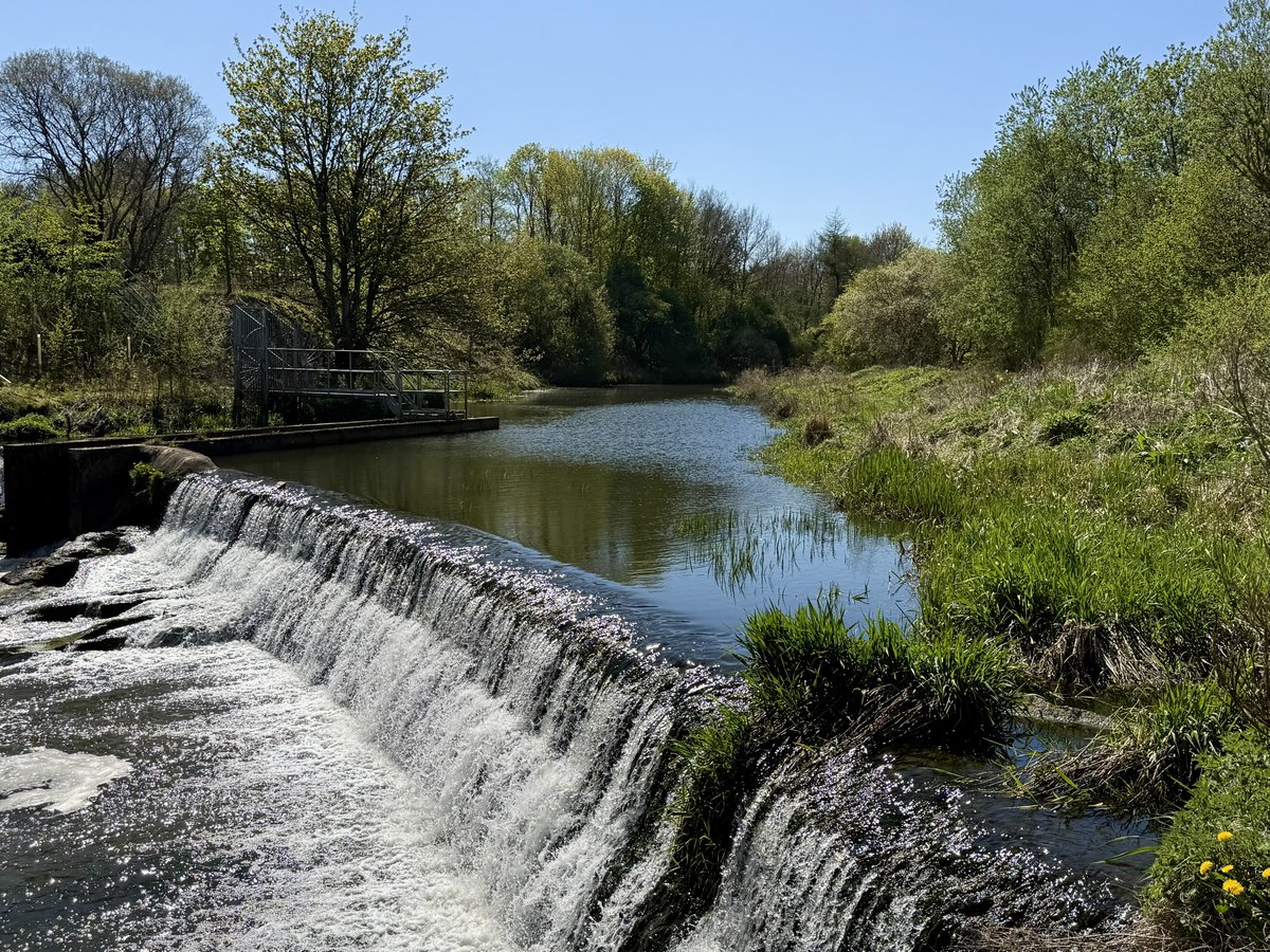 ElleBeePhotos's tweet image. A few of my favourite scenes from today’s sunny nature walk. ☀️

Beautiful pink blossom, a calming waterfall, lots of greenery coming alive again, and a very shy but cute feline friend! 🌸🌳🐈

#WhateverWednesday #NaturePhotography