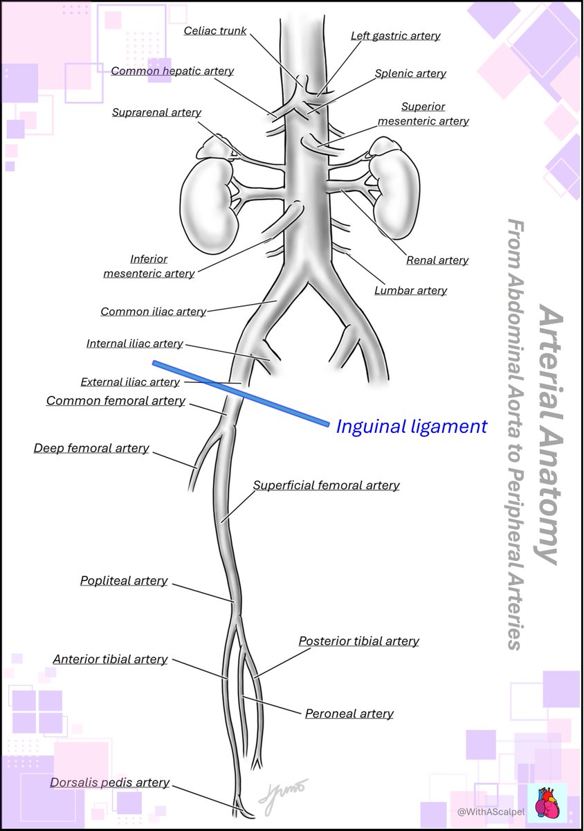 WithAScalpel - Fumiya Yoneyama, MD, PhD tweet media