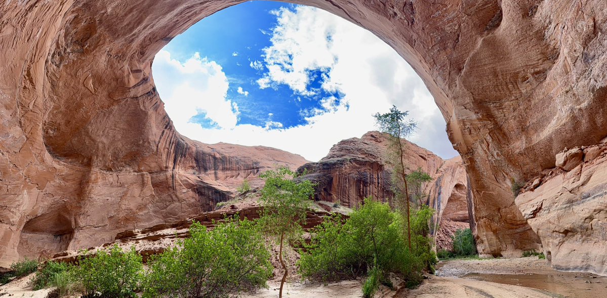 herb nerd 🍁👨🏻‍🏫 tweet media