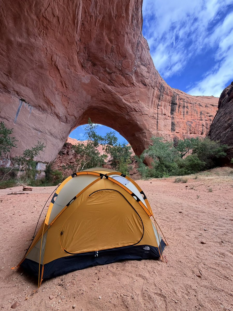 herb nerd 🍁👨🏻‍🏫 tweet media