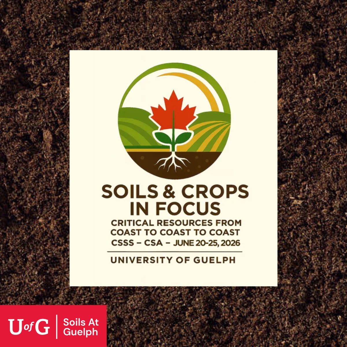 SOILS AT GUELPH tweet media
