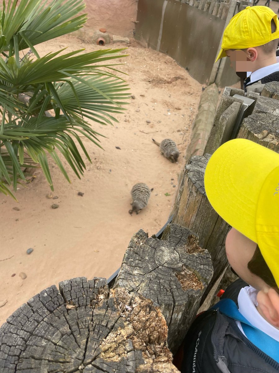 Class 2 LOVED their trip to Yorkshire Wildlife Park to find out more about different animals and their habitats!
