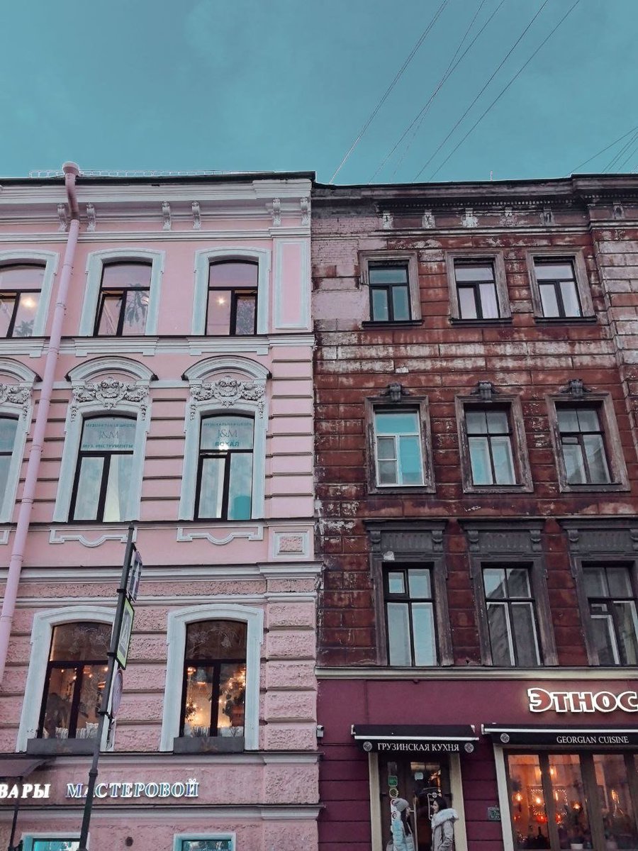 Дикий Петербург tweet media