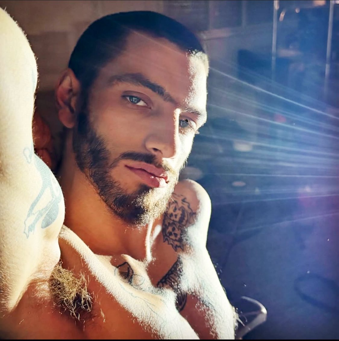 Sebastian tweet media