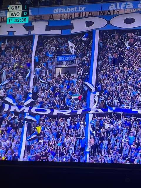 CachorroGremio's tweet photo. GRÊMIO Y PALESTINA🇪🇪🤝🇵🇸 https://t.co/xY39woT5ZU