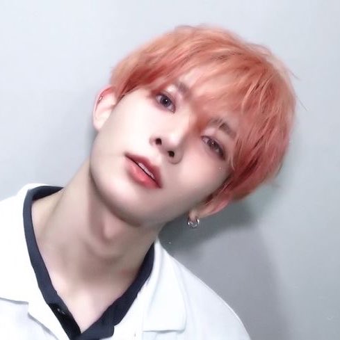 shayla 🍓| ENHYPEN IS 7 tweet media