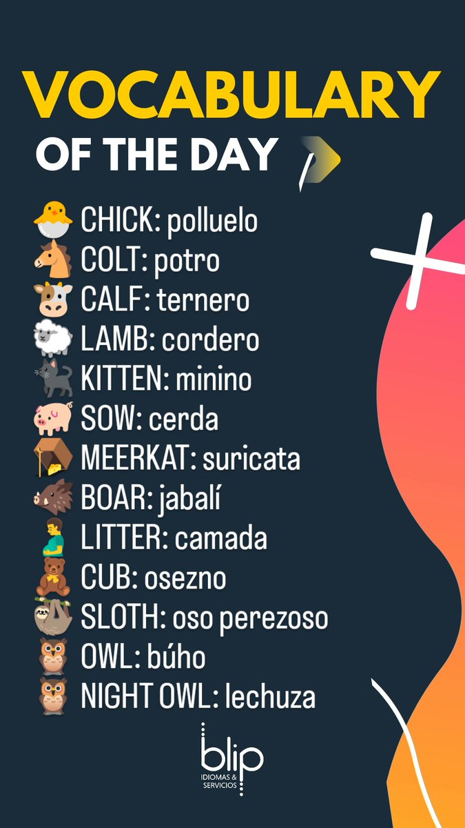 Blip_Idiomas's tweet image. Your vocabulary of the day, easy to carry! #votd